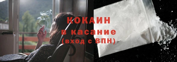 индика Алзамай