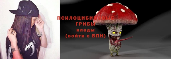 индика Алзамай