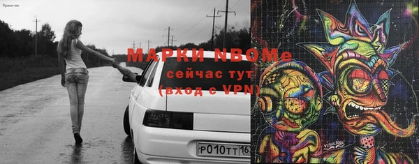 индика Алзамай