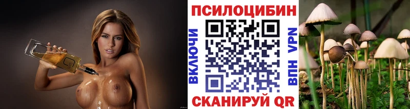 shop как зайти  Туринск  Псилоцибиновые грибы ЛСД  закладки 